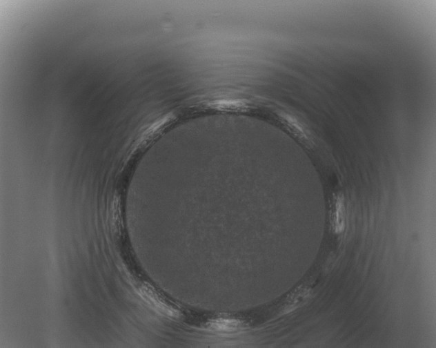 X0000081450748200701191713