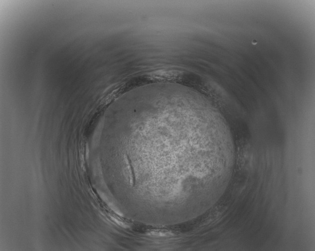 X0000081450749200701191713