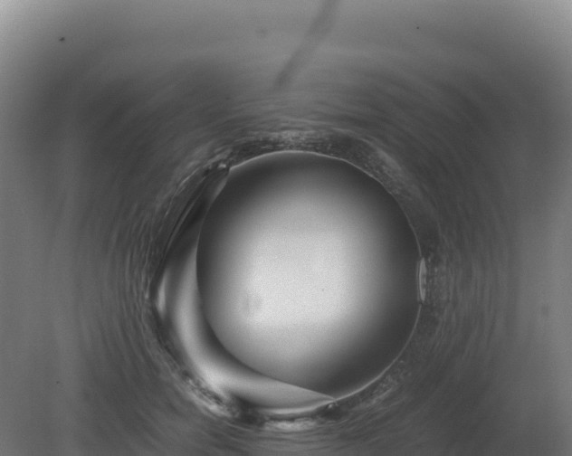 X0000081450750200701191713