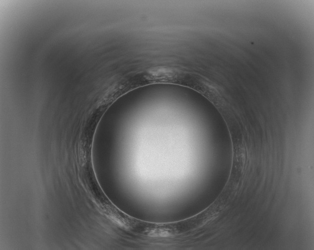 X0000081450751200701191713