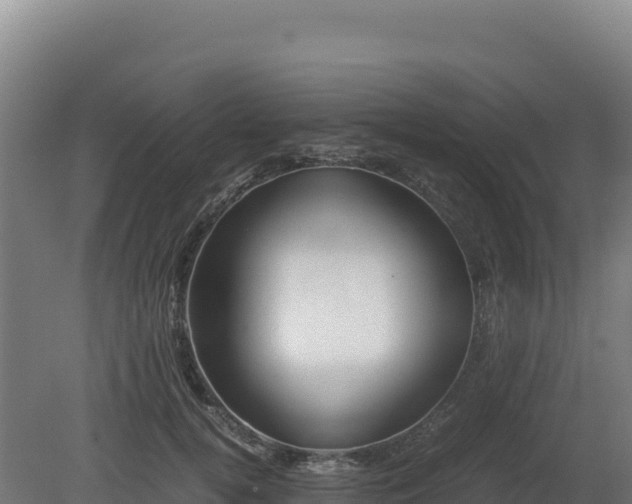 X0000081450752200701191713