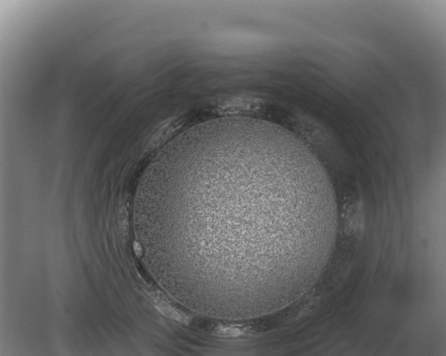 X0000081450753200701191713