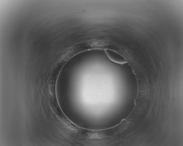 X0000081450755200701191713