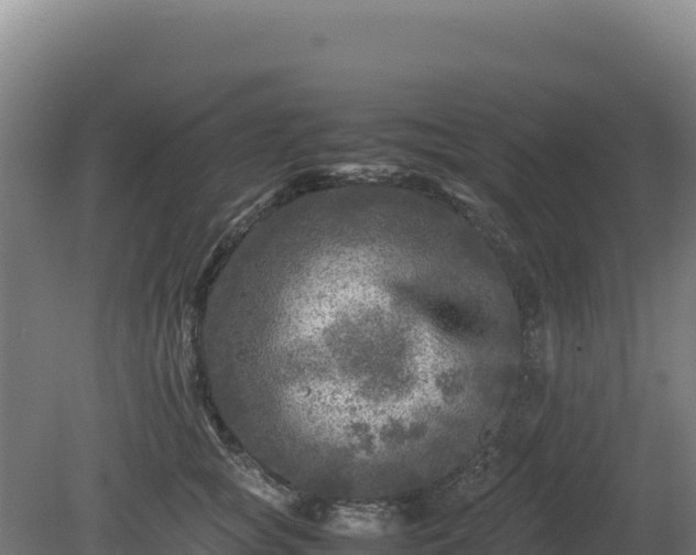 X0000081450757200701191713