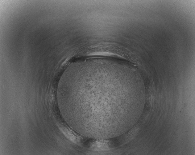 X0000081450758200701191713