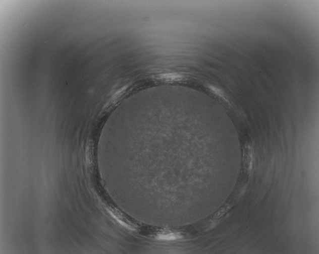 X0000081450760200701191713