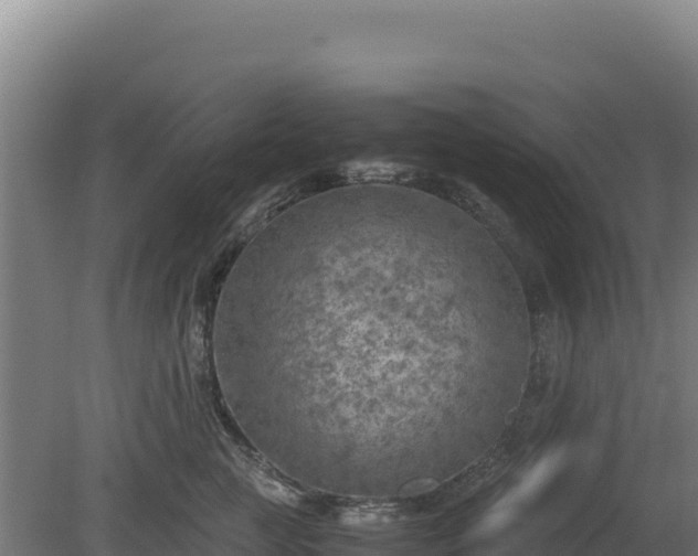 X0000081450761200701191714