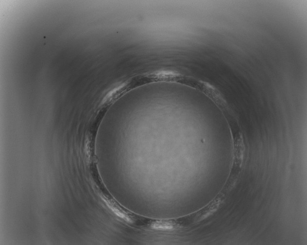 X0000081450762200701191714