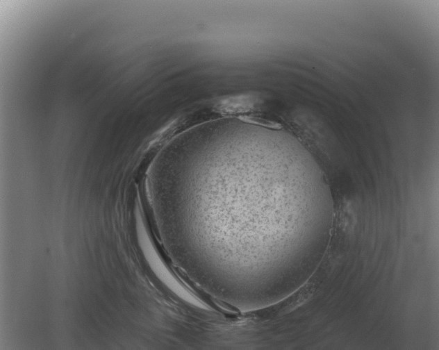 X0000081450763200701191714