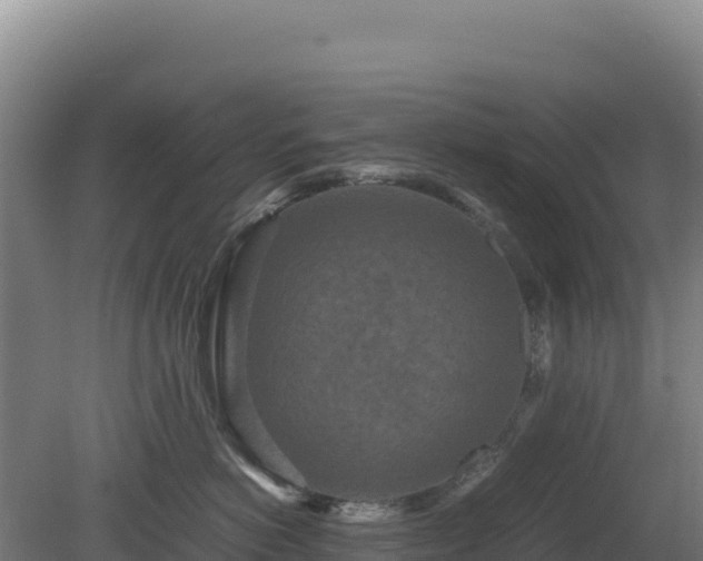 X0000081450766200701191714