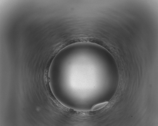 X0000081450768200701191714