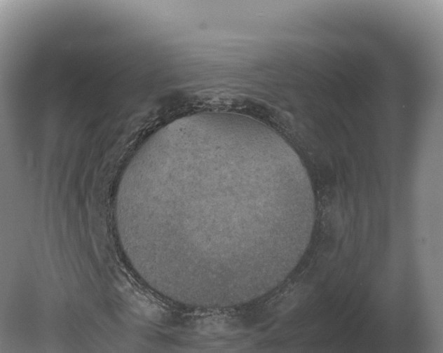 X0000081450769200701191713