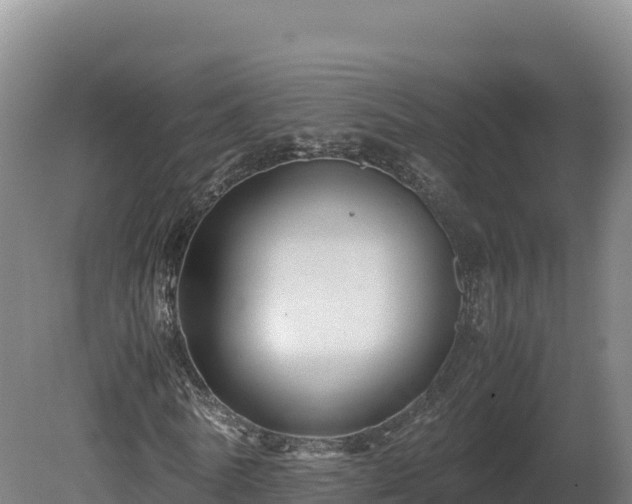 X0000081450770200701191713