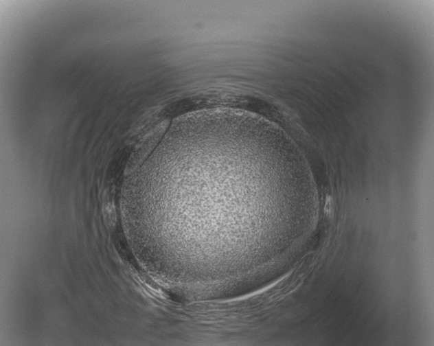 X0000081450771200701191713