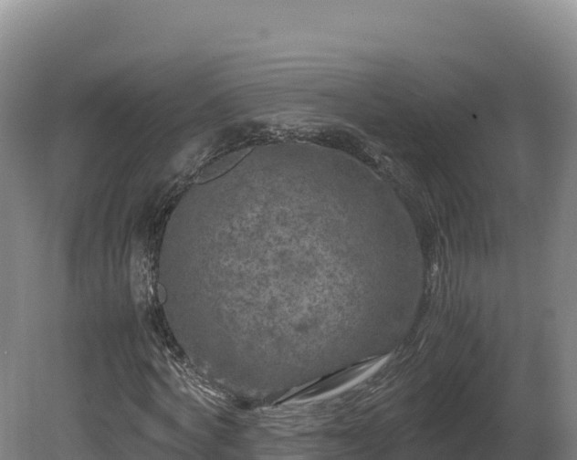 X0000081450772200701191713