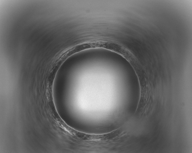 X0000081450773200701191713