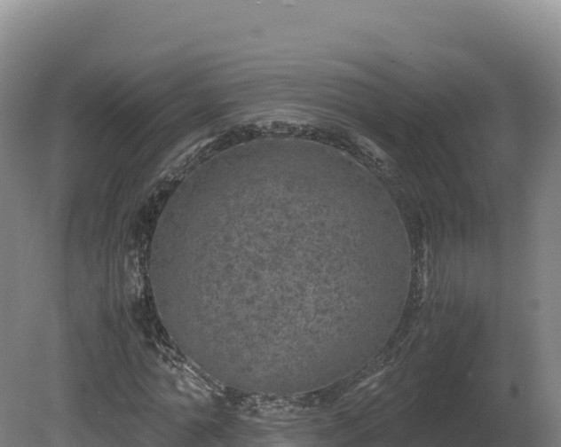 X0000081450774200701191713