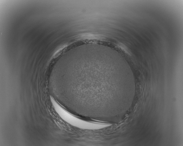 X0000081450775200701191713