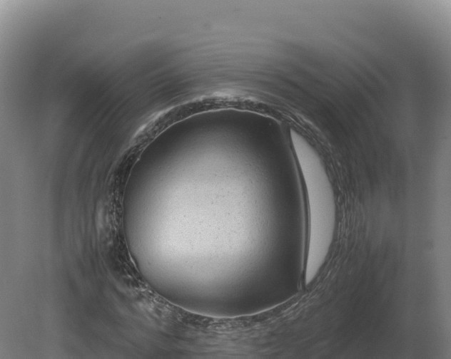 X0000081450776200701191713