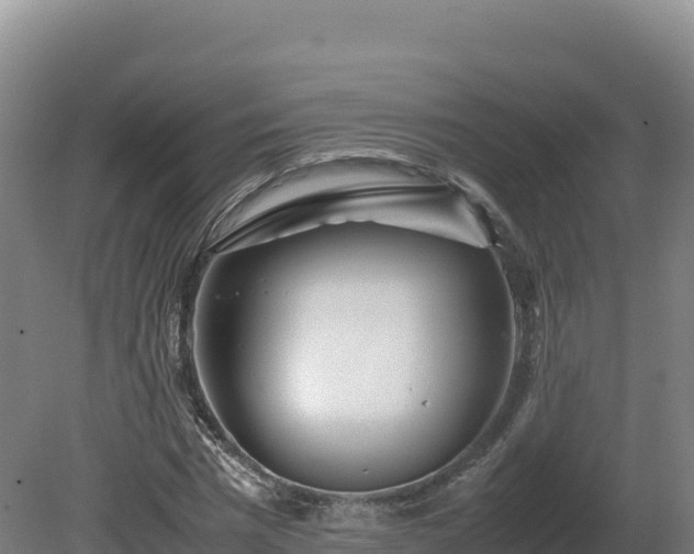 X0000081450777200701191713