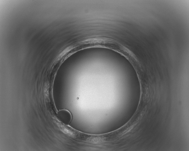 X0000081450778200701191713