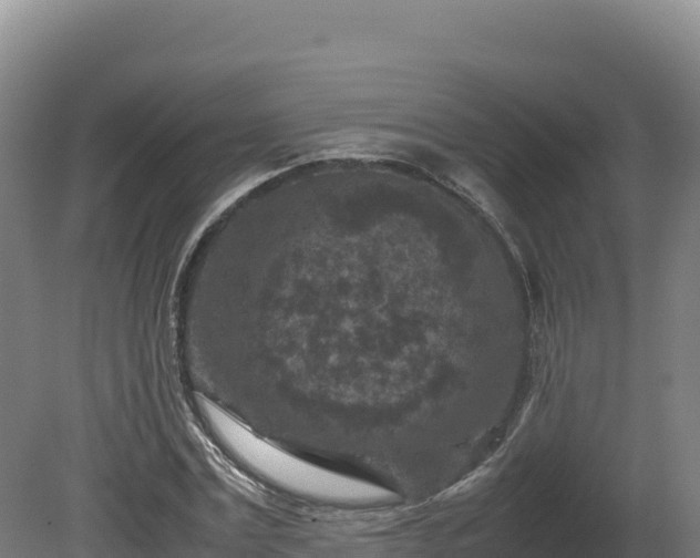 X0000081450779200701191713