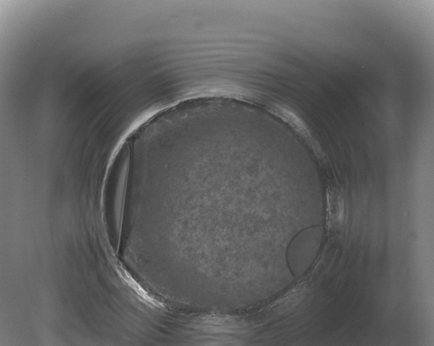 X0000081450780200701191713