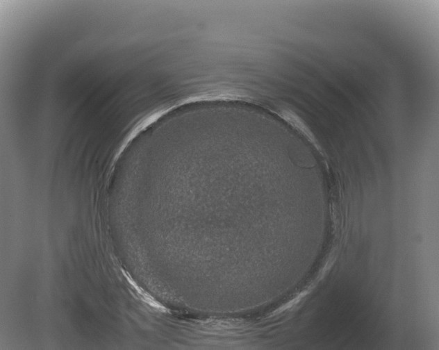 X0000081450781200701191713