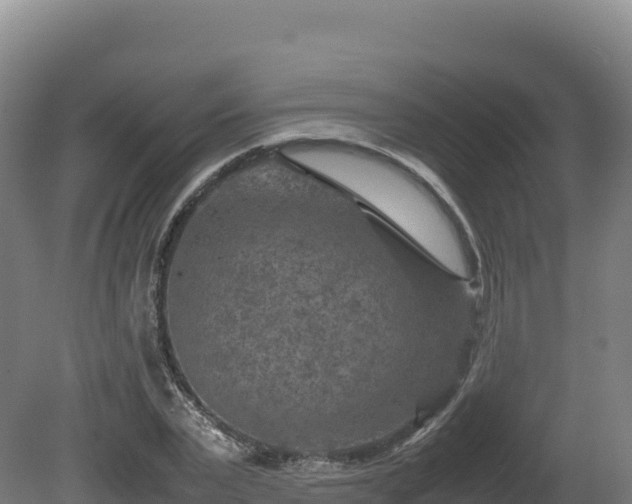 X0000081450783200701191713