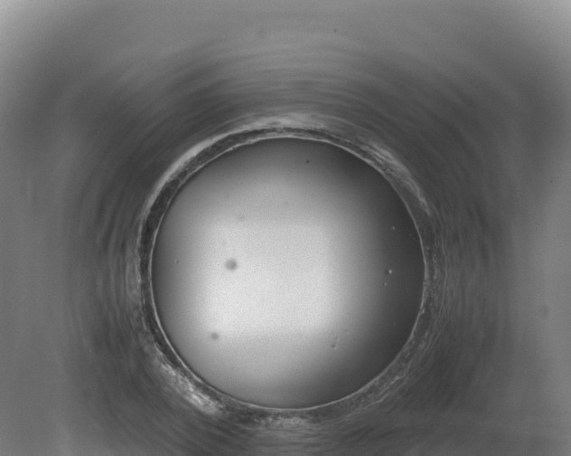 X0000081450784200701191713