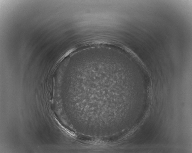 X0000081450785200701191713