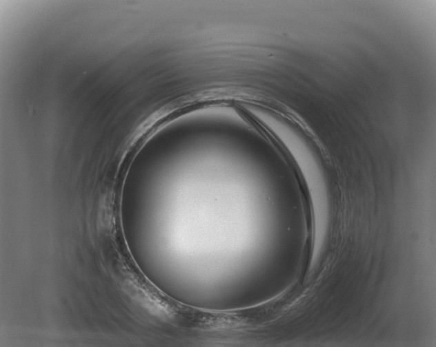 X0000081450786200701191713