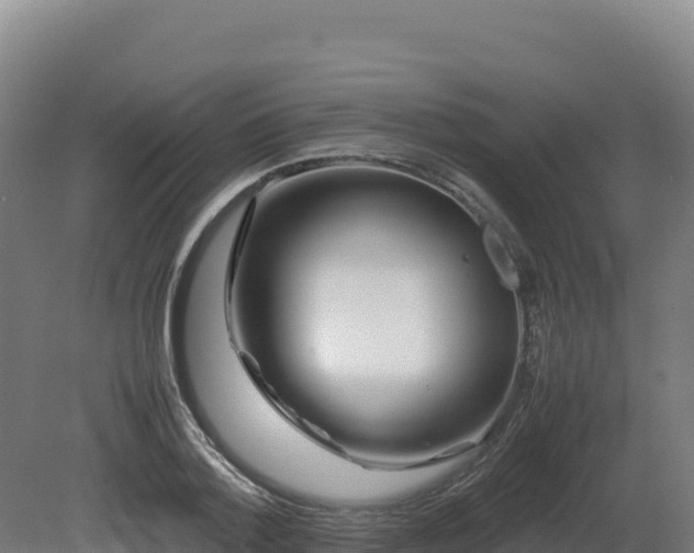 X0000081450788200701191712