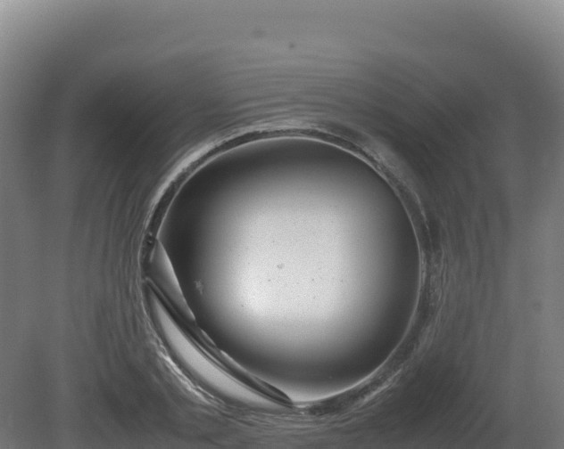 X0000081450789200701191712