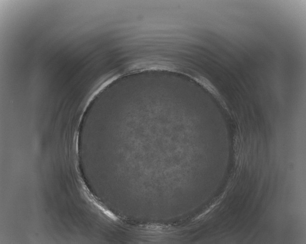 X0000081450790200701191712