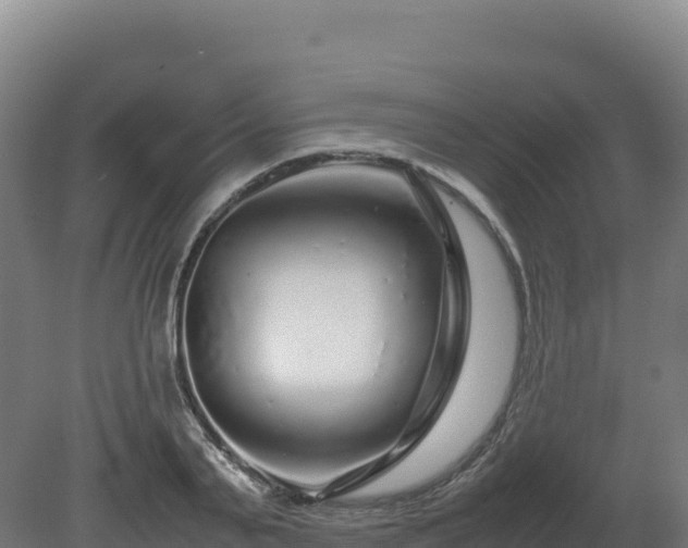 X0000081450791200701191712