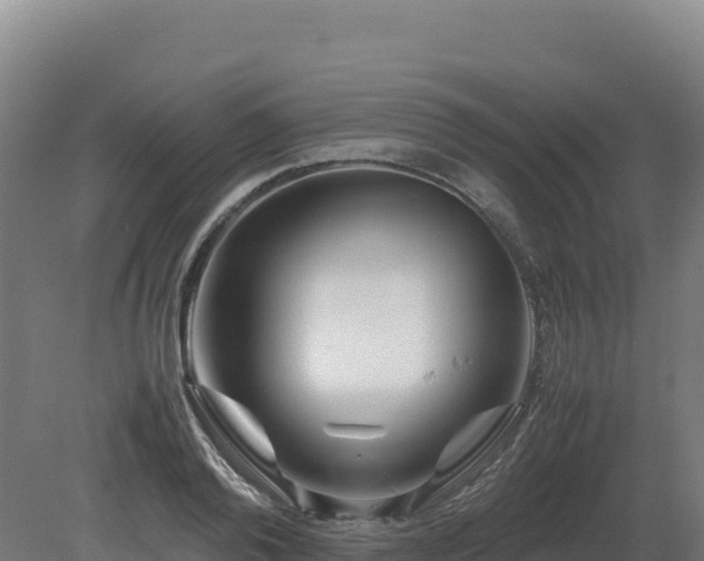 X0000081450792200701191712