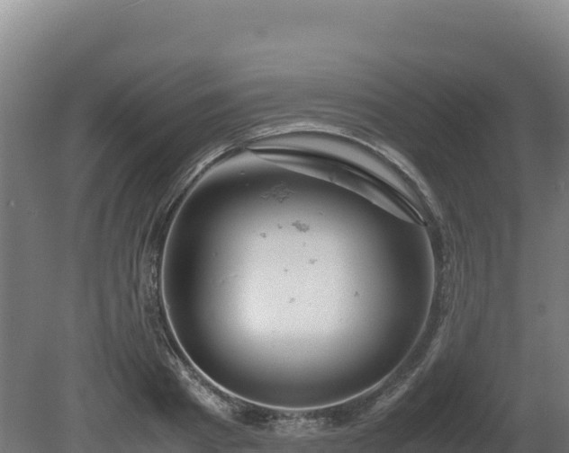 X0000081450793200701191712