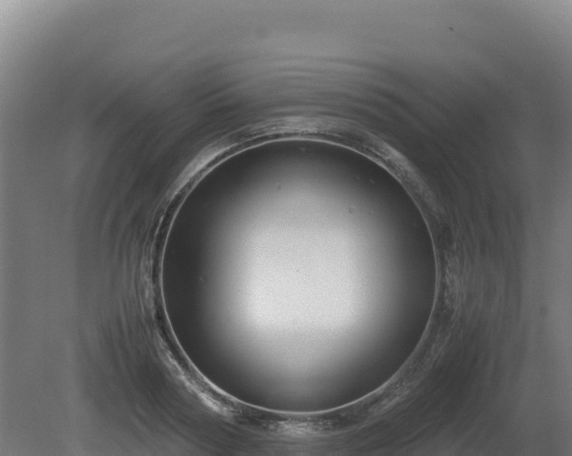 X0000081450794200701191712