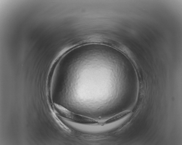 X0000081450795200701191712