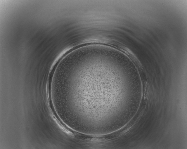 X0000081450796200701191712