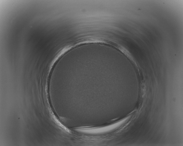 X0000081450797200701191712