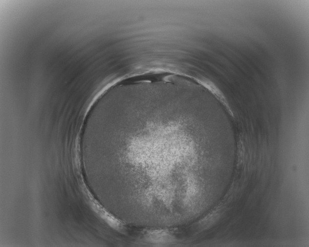 X0000081450798200701191712