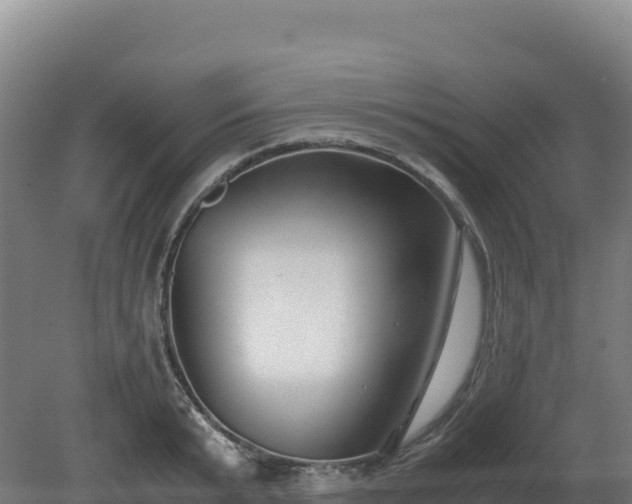 X0000081450799200701191712