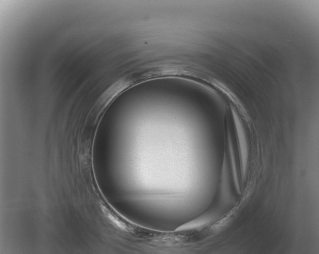 X0000081450801200701191712