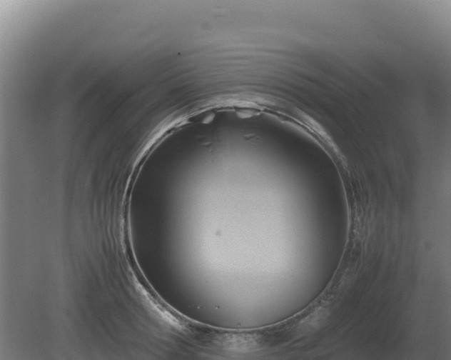 X0000081450802200701191712