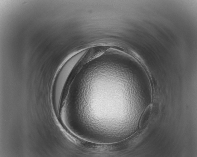 X0000081450803200701191712