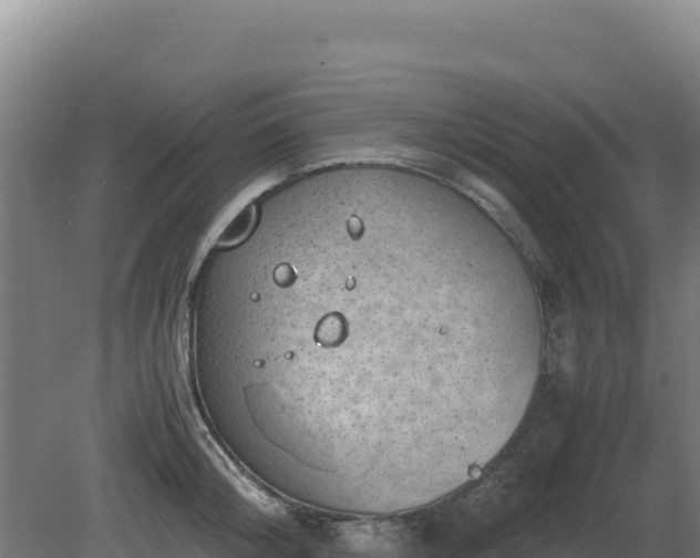 X0000081450804200701191712