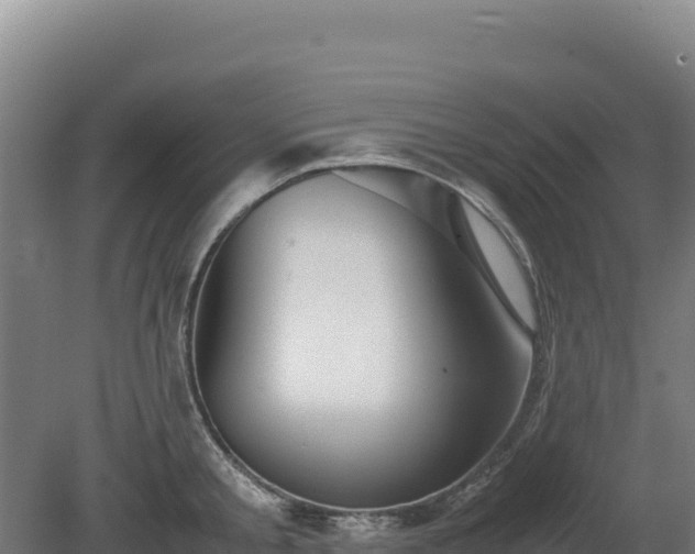 X0000081450805200701191712