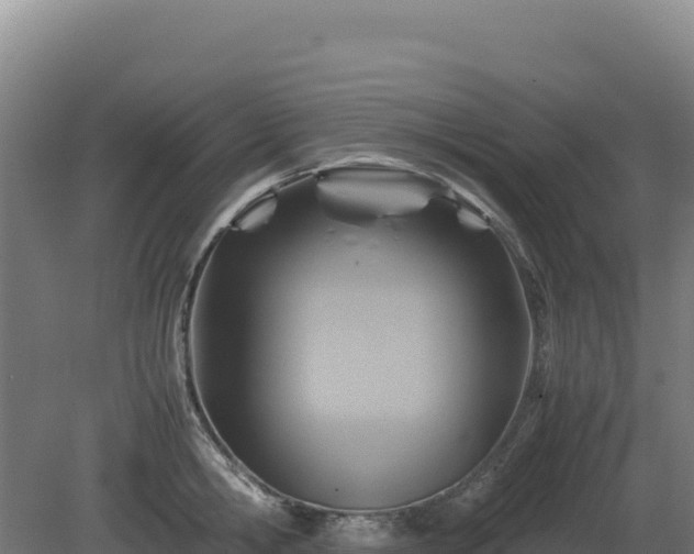 X0000081450806200701191712